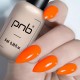 Гел лак PNB 8 мл 113